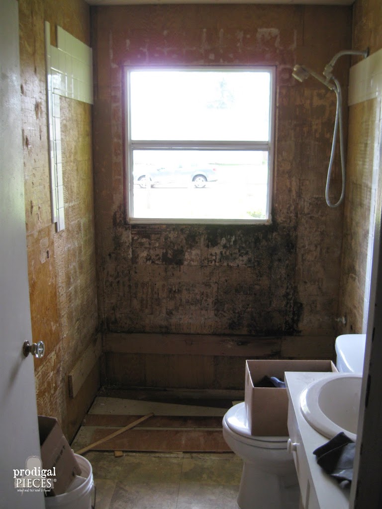 Hot Mess Bathroom During Remodel by Prodigal Pieces | prodigalpieces.com
