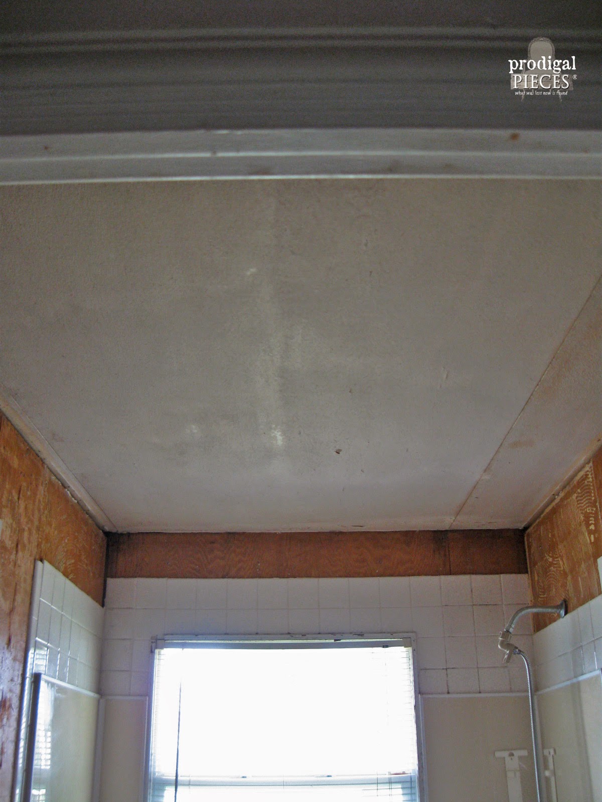 Ceiling Before in Bathroom Makeover by Prodigal Pieces | prodigalpieces.com