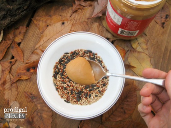 Peanut Butter for Birds to Have Protein on DIY bird feeder | Prodigal Pieces | prodigalpieces.com