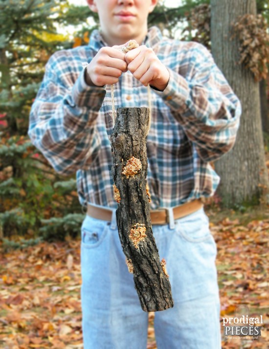 DIY Backyard Log Bird Feeder by Prodigal Pieces | www.prodigalpieces.com
